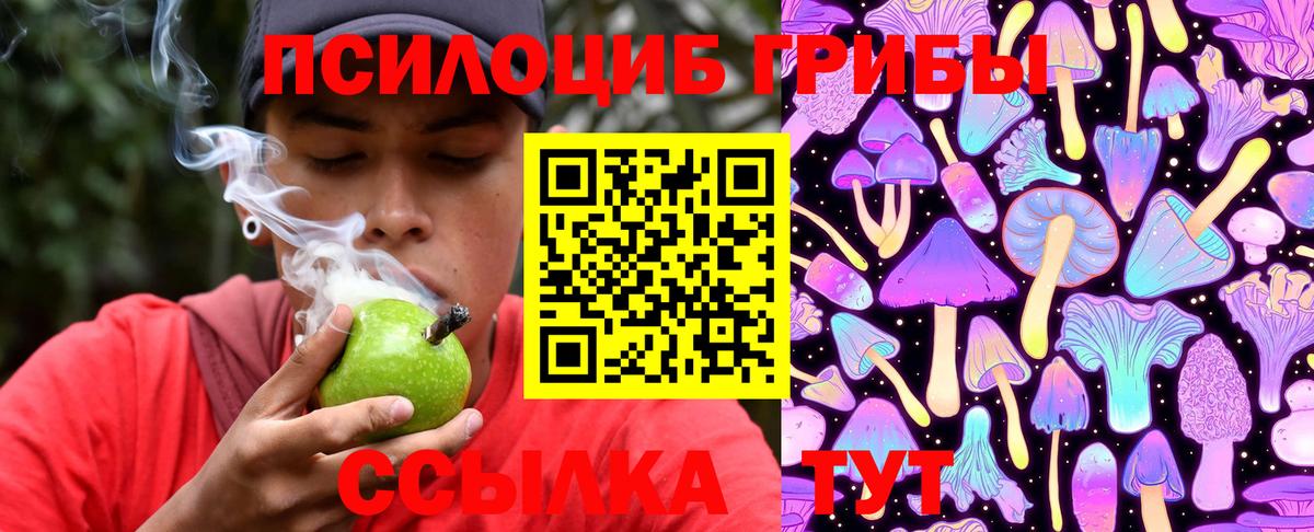 Галлюциногенные грибы MAGIC MUSHROOMS  Галлюциногенные грибы MAGIC MUSHROOMS  Вход с VPN  Губаха 