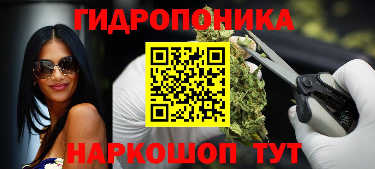 Бошки марихуана Amnesia  Вход с VPN  Шишки марихуана SATIVA & INDICA  Бошки Шишки гибрид  Марихуана марихуана  Губаха 